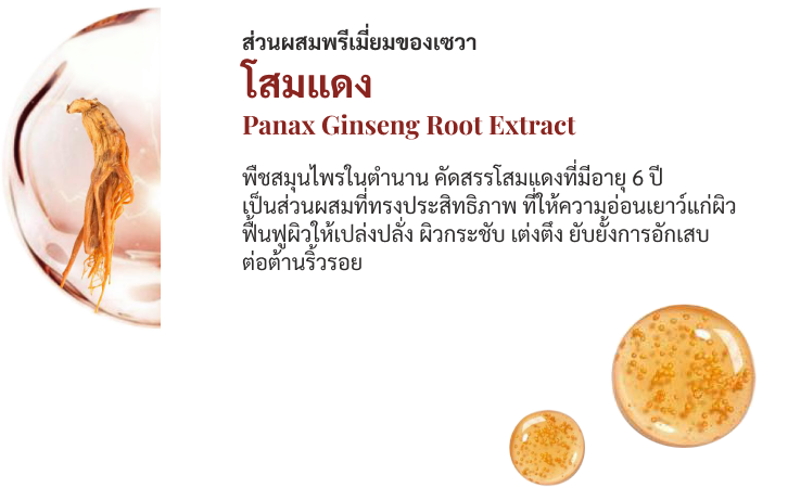Hồng Sâm Lên Men Panax Ginseng