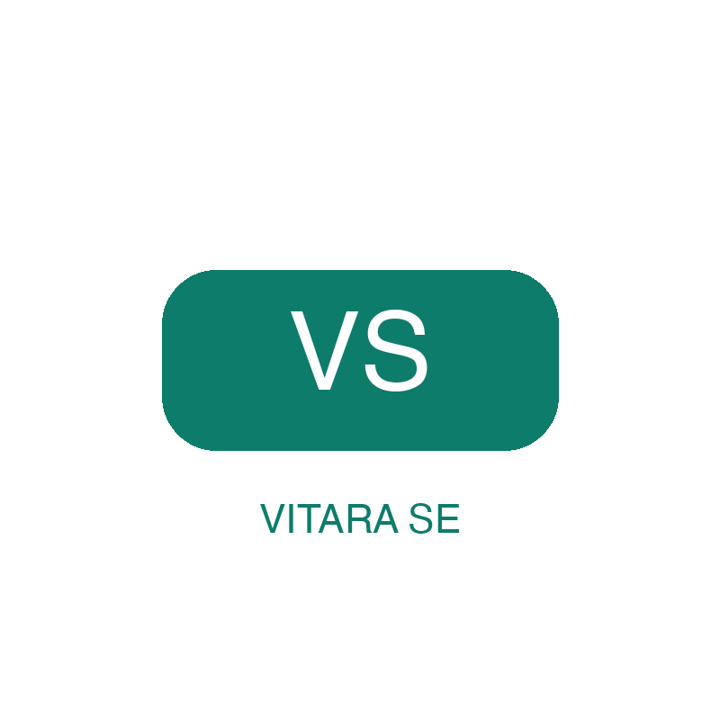 Logo Vitara SE
